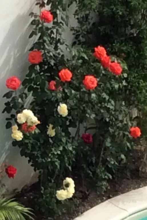 Bed & Breakfast Bahiaincantata B&B Reggio Calabria Lazzaro